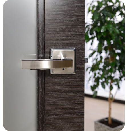 Arazzinni AV-BA Avanti Vetro Interior Door in a Black Apricot Finish with Silver Strips and Frosted Glass