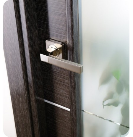 Arazzinni AV-BA Avanti Vetro Interior Door in a Black Apricot Finish with Silver Strips and Frosted Glass