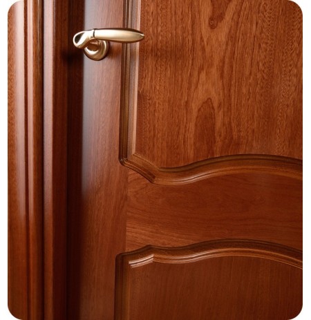Arazzinni D-S Desta Interior Door in a Sepele Finish