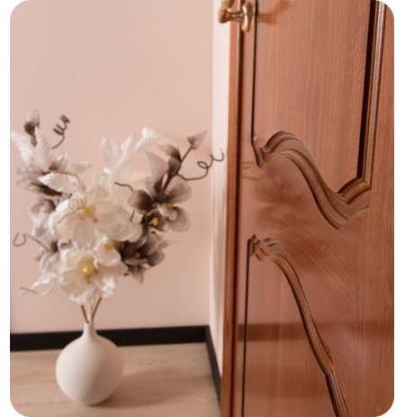 Arazzinni D-S Desta Interior Door in a Sepele Finish