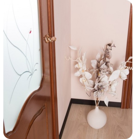 Arazzinni DV-S Desta Verra Interior Door in a Sapele Finish with Frosted Glass Design