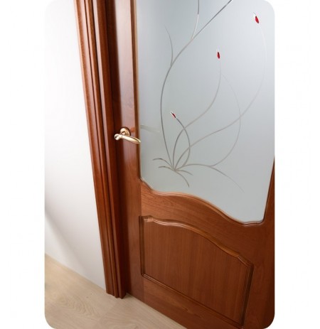 Arazzinni DV-S Desta Verra Interior Door in a Sapele Finish with Frosted Glass Design