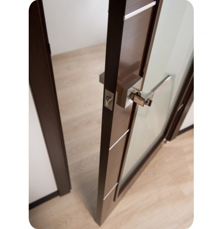 Arazzinni MV-IW Mia Vetro Interior Door in a Wenge Finish with Silver Strips and Frosted Glass