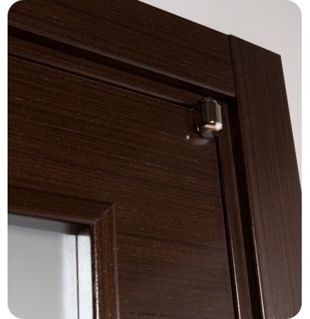 Arazzinni MV-IW Mia Vetro Interior Door in a Wenge Finish with Silver Strips and Frosted Glass