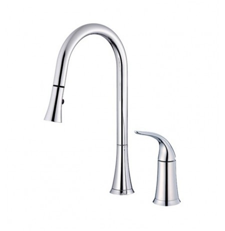 Danze D459022 Antioch™ Single Handle Pull-Down Kitchen Faucet in Chrome