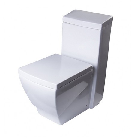 Fresca FTL2336 Apus One Piece Elongated Toilet with Soft Close Seat
